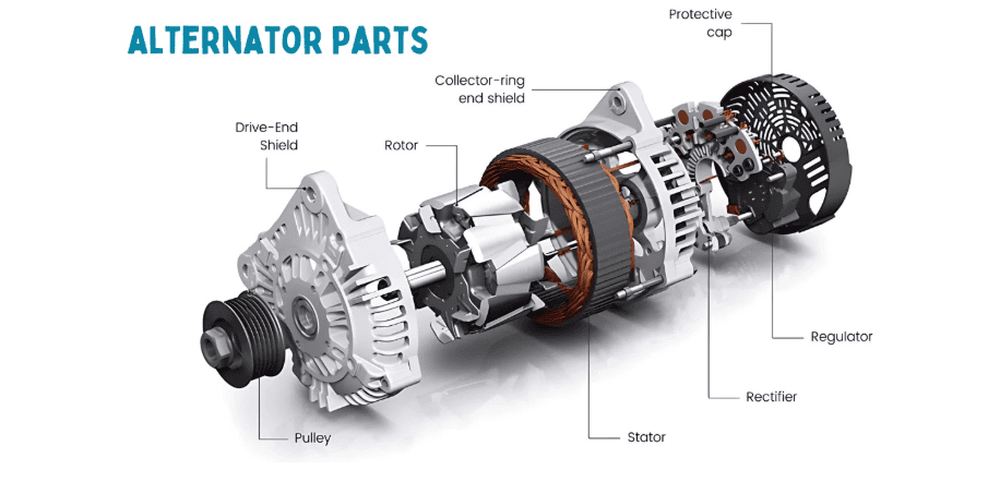 Alternator Internal Diagram