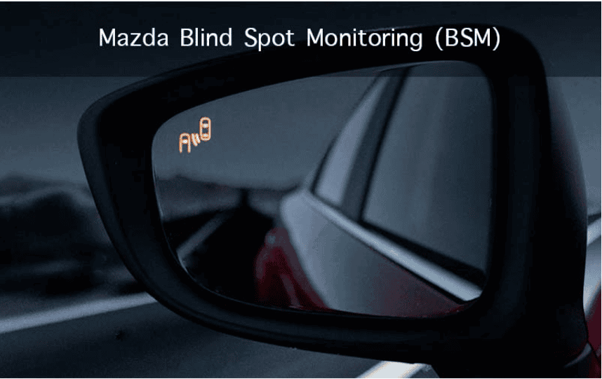Blind Spot Monitoring on Winker Mirror