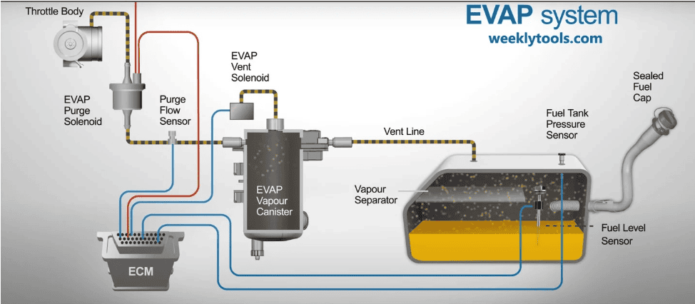 Diagram explaining the EVAP system in a vehicle