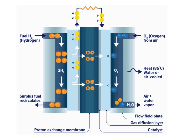 How Hydrogen Fuel Cells Generate Electricity