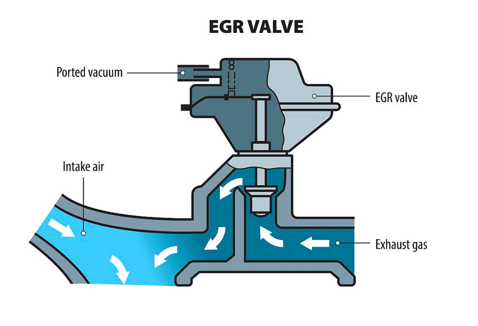 EGR Valve