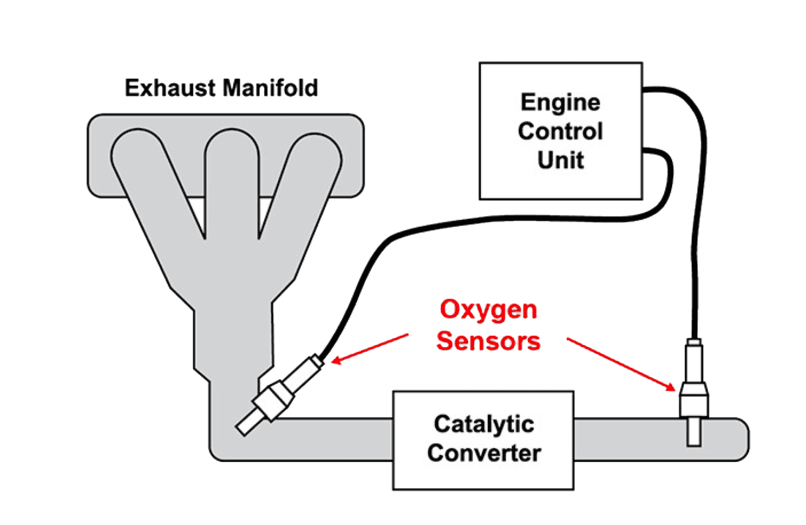 Oxygen Sensor