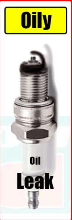 Oil fouled spark plug