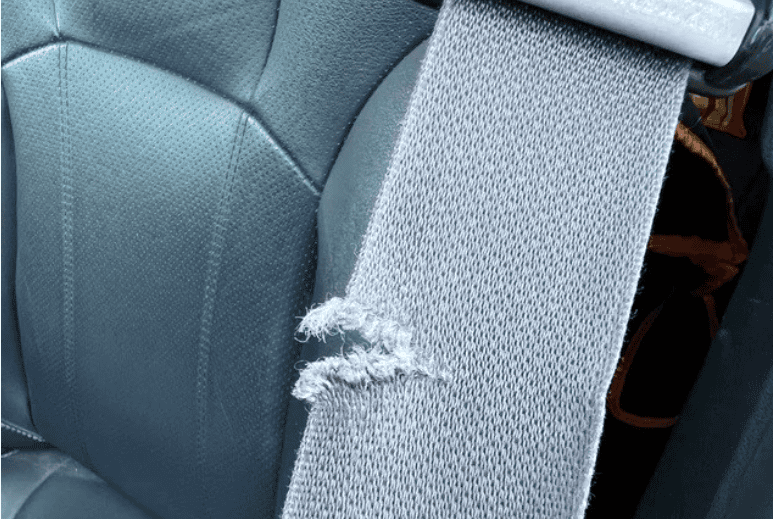 Seat Belt Webbing Inspection